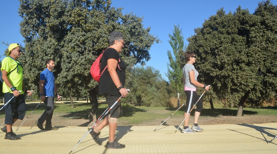 Practica Nordic Walking con la Universidad de Sevilla