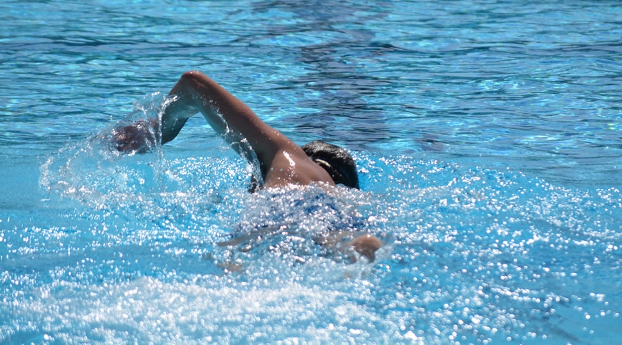 Cursos intensivos quincenales de natación
