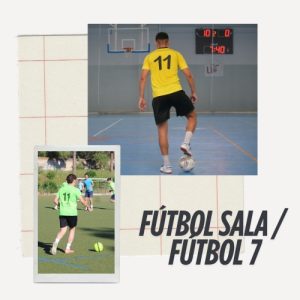 Liga (3)
