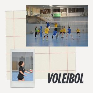 Voleibol
